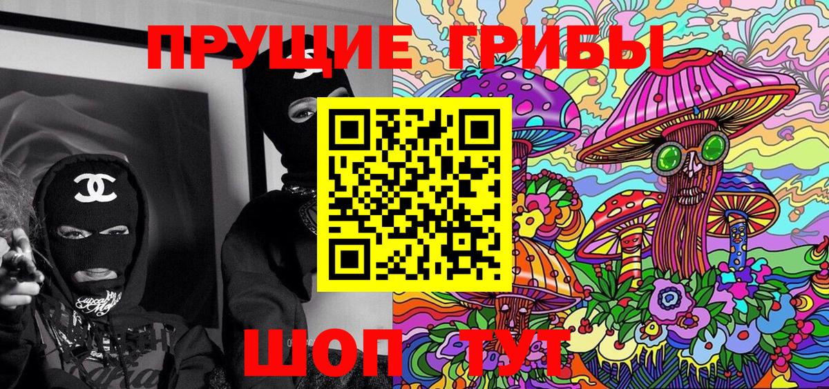 Псилоцибиновые грибы Psilocybe Татарск